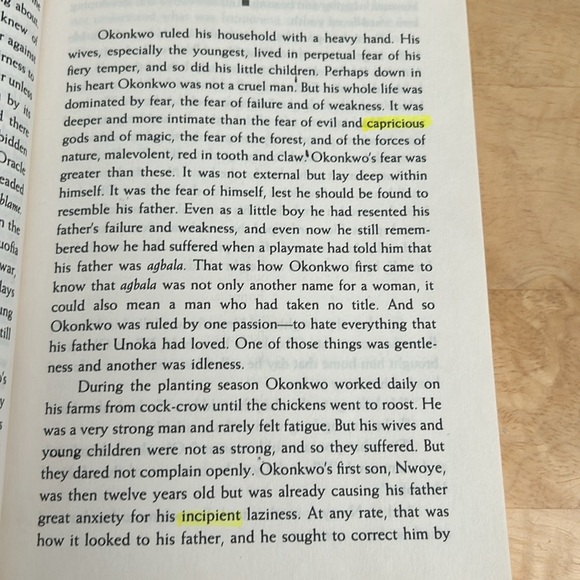 Things Fall Apart - Book by Chinua Achebe - 50th Anniversary Edition - Picture 15 of 16